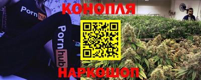 ПСИЛОЦИБИНОВЫЕ ГРИБЫ Нягань